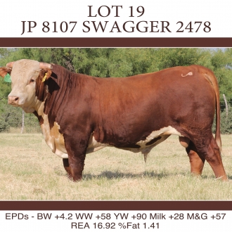 Lot19